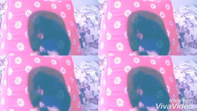 Клип про мою собаку смотреть онлайн