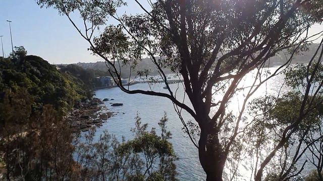 Феминизм + глобальное потепление = $$$ смотреть онлайн