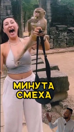 Минута смеха