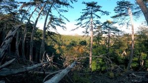 #ДикоХод _ Крым_Терновка_Спасо-Преображенский скит