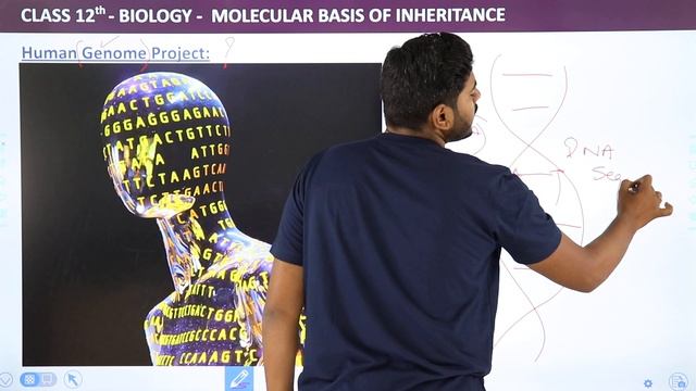 Human Genome Project - Molecular Basis of Inheritance | Class 12 Biology (2022-23)