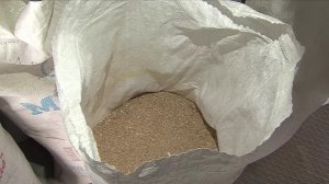 Производители стройматериалов из Советского района в зимнее время занимаются изготовлением кормов