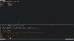 My neovim workflow for coding | (Advanced vim)