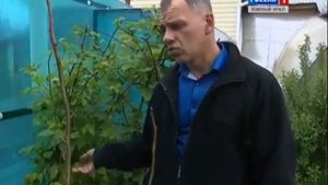 Коллекционер редких растений для сада. Роман Нагуманов. Южный Урал