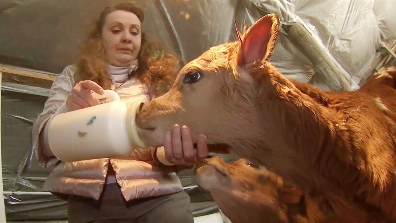 Новый стимул к развитию получили российские производители в санкционных условиях