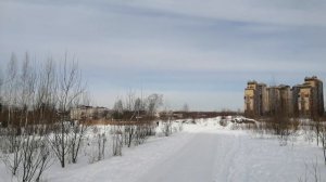 2023.03.11. Погода Петербург. 12:00. - 8°. Зимний март. День вафли с орехами.