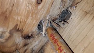 Copper Pipe Corrosion. Коррозия медных труб