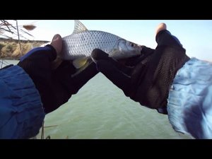 НА ПОДКОВЕ В СИЛЬНЫЙ ВЕТЕР! РЫБАЛКА НА СТАВРОПОЛЬЕ