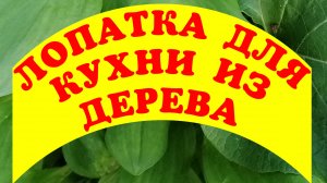 ЛОПАТКА ДЛЯ КУХНИ ИЗ ДЕРЕВА ДЕРЕВЯННАЯ ЛОПАТКА ДЕРЕВЯННАЯ ПОСУДА СВОИМИ РУКАМИ  ЧАСТЬ - 1.mp4