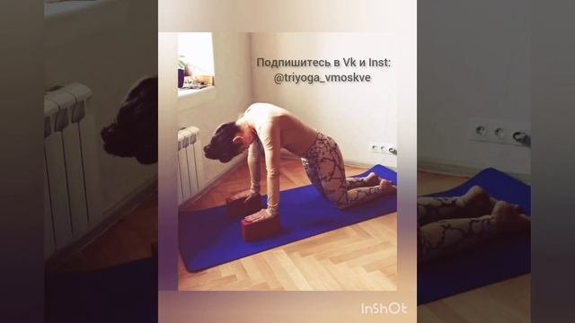 ТриЙога для начинающих