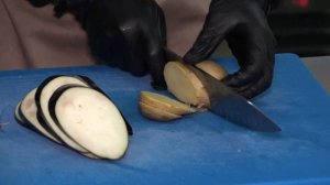 Даар 291122 автор  Харсиева Зарета