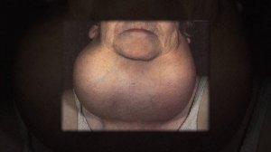 Растения - обитатели морей и океанов