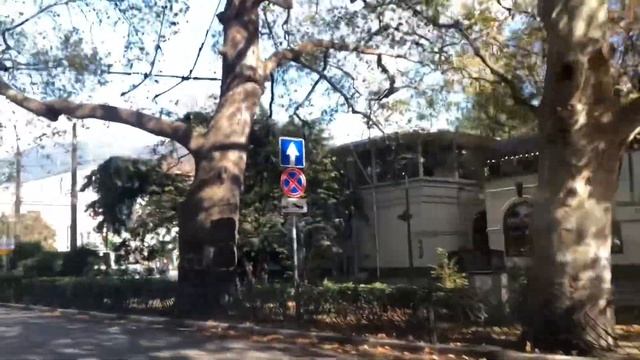 Ялта. Улицы К.Маркса, Московская, мимо платана до парковки у дома «Книга». 09.11.2023. Крым. Crimea смотреть онлайн