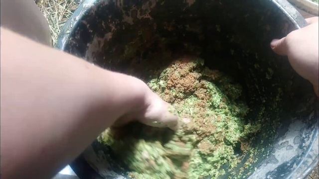 Корм для утят, что с экструдером сейчас. смотреть онлайн