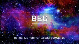 Вес - основные понятия школы Сорадение. Развитие в Соразмерности.