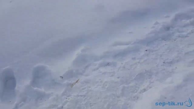 3 х камерный септик из железобетонных колец смотреть онлайн