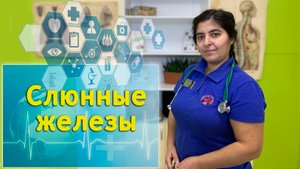 "Слюнные железы" занятия проводит Бикбаева Сусанна