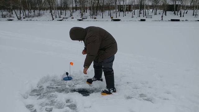 Сосенки 15 декабря 2020 смотреть онлайн