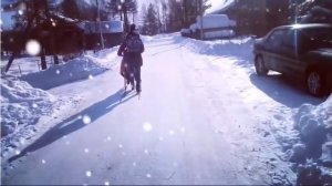 Финские сани