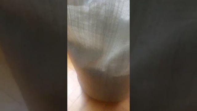 ВНИМАНИЕ!!! Семечки грызу во время карантина смотреть онлайн