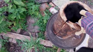 Дуплянка(колода) для пчел как ловушка своими руками часть 1