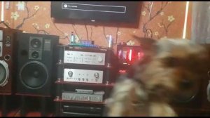 Модульная стойка для HI-FI и HIGH-END аппаратуры и Стойки для акустики