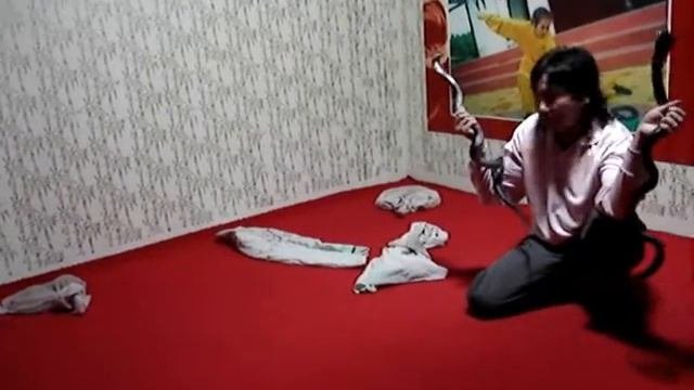 Кобра-шоу/ Cobra-show