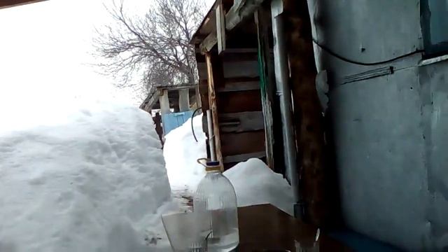 Откапывание снега для выставки пчел на снежном Алтае. смотреть онлайн