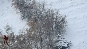 Wild Boar Hunting İn Heavy Snowy Weather  / Karda Domuz Avı #pighunt #hoghunting #domuz avı #deer