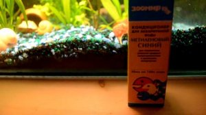 Малек карликового змееголова.