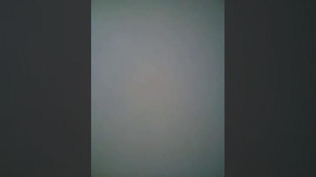 Молчание ягнят. 26.03.2017. смотреть онлайн