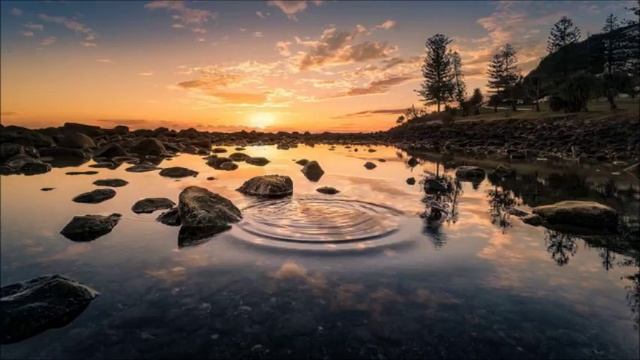 zen meditation music 20 minutes смотреть онлайн