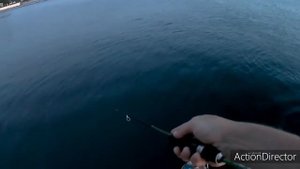 Ставрида на пилькеры. Рокфишинг на Чёрном море
