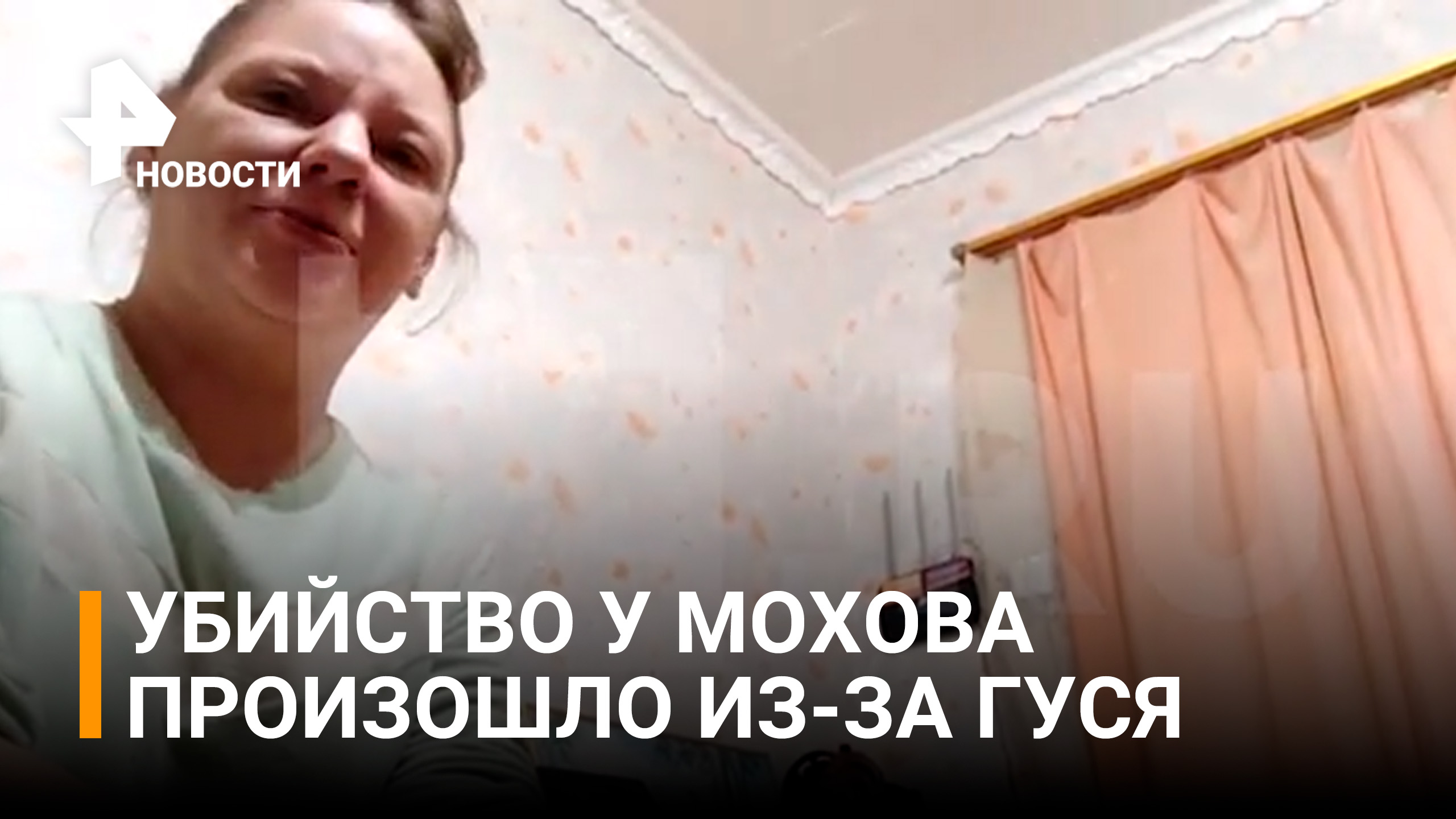 Сожительница "Скопинского маньяка" рассказала, что убийство произошла из-за гуся / РЕН Новости