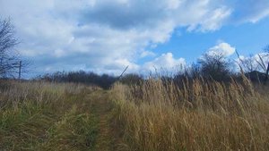 Заброшенная деревня где живет один человек.