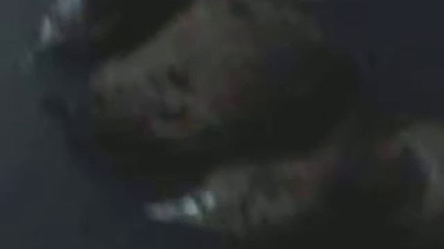 Фрезии для открытого грунта . смотреть онлайн