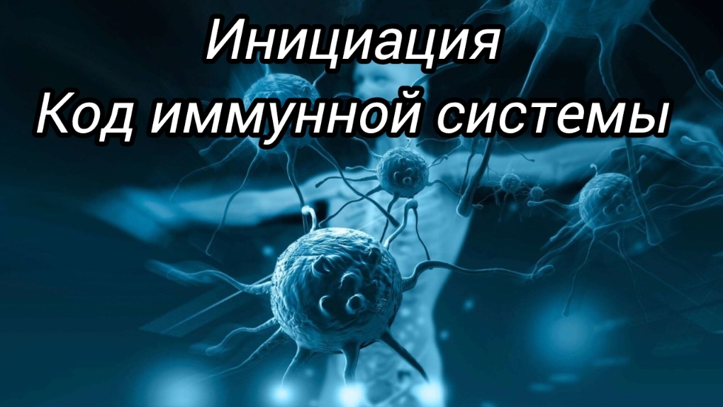 Инициация Код Иммунной системы