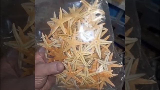 Сахарные морские звездочки 5 - 7 см 50шт. смотреть онлайн