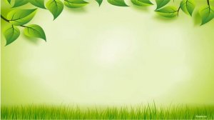 Экологическая викторина «Знатоки природы»