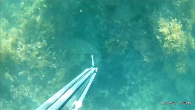 Подводные камни Чёрного моря.