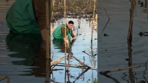 Ловля кілограмових КАРАСІВ в КУКУРУДЗІ🎣РИБАЛКА ПІСЛЯ РОЗЛИВУ#fishing#fish#ловлярыбы#рибалкавукраїні