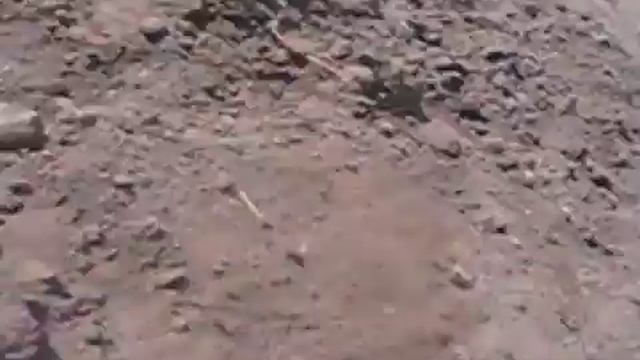 test-12-mijn halo reach review (dutch) смотреть онлайн