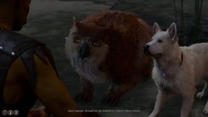 Baldur's Gate 3 - Шкряб стал братом малышу медвесыча