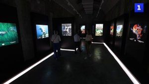 Фотовыставку о дикой природе открыли в музее Санкт-Петербурга