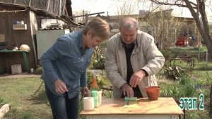 Посадка свеклы методом "Улитки"