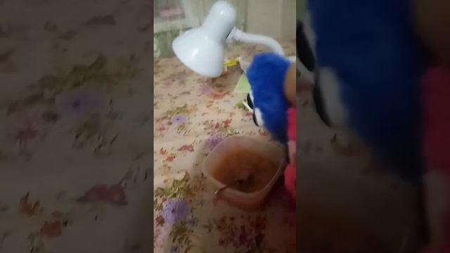 чундра чучундра: что едят чучундры чееееееееек чебурееееееек смотреть онлайн