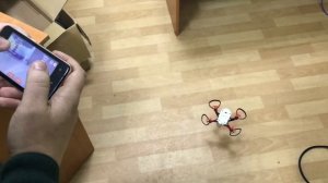 Полет на Геоскан Пионер Мини