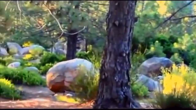 Снежный человек с ребёнком,невероятные кадры