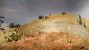 Вестфальский музей естественной истории, Мюнстер, часть 5