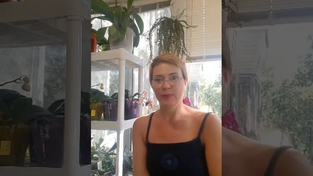 Обзор биопрепаратов. И орхидеи - паразиты???